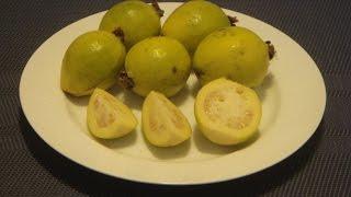 Guava Fruit How to Eat Mini Guava