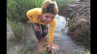 Awesome Girl Net fishing in Cambodia Lifestyle - How to Catch A lot of fish on Rive fields