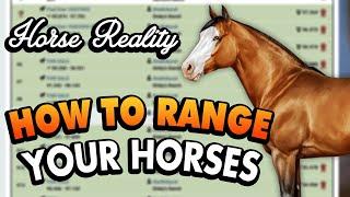 How to Range Your Horses + My Quarter Horse Project Update Horse Reality
