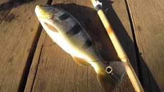 PESCARIA no lago Paranoá de TUCUNARÉ com lambari vivo é fatal. A vara de Bambú gemeu #mererofishing