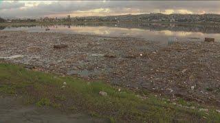 Students demand action on South Bay sewage crisis