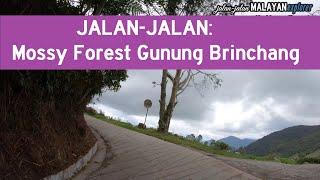 JALAN-JALAN Kea Farm ke Mossy Forest Gunung Brinchang