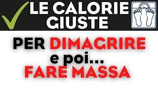 Quante calorie per dimagrire e poi fare massa ?? - Primi concetti