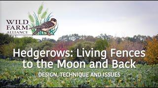 Hedgerows Living Fences to the Moon and Back