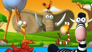 Gazoon - Animal Kingdom Kerajaan Hewan Cartoon For Kids  ToBo Kids TV Bahasa