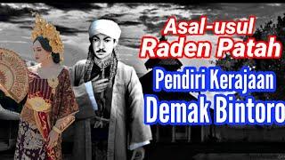 Sejarah dan asal-usul Raden Patah. Pendiri kerajaan Demak Bintoro. Kisah Nusantara.