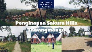 Supercamp Atau Rumah Kaca‼️Penginapan Sakura Hills Tawangmangu.