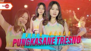 Vita Alvia - Pungkasane Tresno Official Music Video