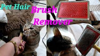 CAT BRUSH HAIR REMOVER  Pet hair remover works best#pethairremoverbrush