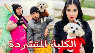 فيلم مغربي  هاذ الولد و الأم ديالو المتشردين لقاو كلبة و بسببها ورثو فلوس صحيحة  الكلبة الغنية