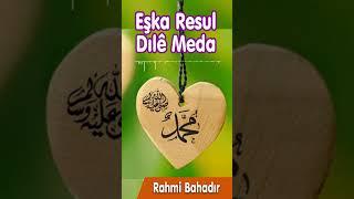 Eşka Resul Dıle Meda - Rahmi Bahadır  #shorts #ilahi