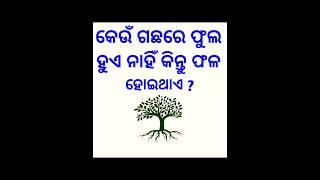 odia dhaga dhamali  clever questions And Answers  ias question answer #shorts#viral