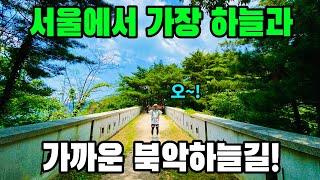 서울에서 이색적인 길을 찾고 계신가요? - 북악하늘길북악스카이웨이길 트레킹 코스