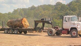 Watch Before you buy a Woodmizer LT 70 super hydraulic