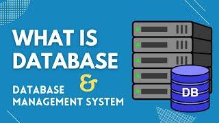 What is Database & Database Management System DBMS  Intro to DBMS