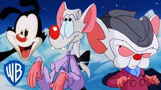 Animaniacs  Best of Pinky and the Brain   Classic Cartoon Compilation  WB Kids