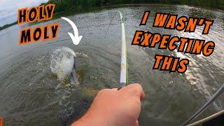 Finding TROPHY Catfish in the Spawn  New PB  River Fishing