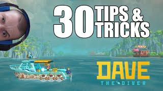 Dave the Diver 30 tips and tricks for best gameplay