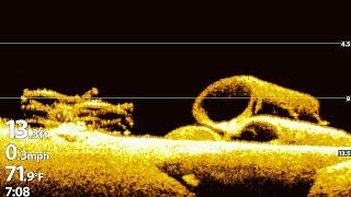 Humminbird Helix Down Imaging Settings and Images