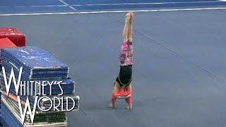 Why Gymnasts Dont Wear Shirts  Handstand Fail