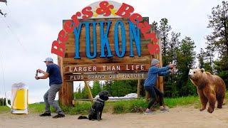 Bears Beers Rivers & Sign Posts - Exploring the Yukon Territory