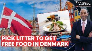Denmark Copenhagen to Reward Green Tourists with Free Food & Wine  Firstpost America