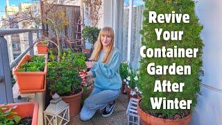 6 Tips To Revive Your Container Garden After Winter