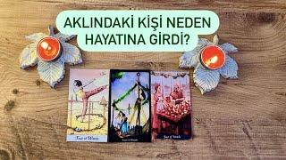 Aklındaki kişi neden hayatına girdi? 