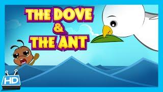 THE DOVE and THE ANT Story  Kids Short Story