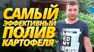 САМЫЙ ЭФФЕКТИВНЫЙ ПОЛИВ КАРТОФЕЛЯ сроки и как правильно поливать картошку в огороде