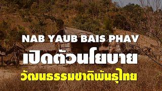 XOV XWM QHEB NAB YAUB NPAIS เปิดตัวนโยบายวัฒนธรรมชาติพันธุ์ไทย อดีตพรรคอนาคตใหม่