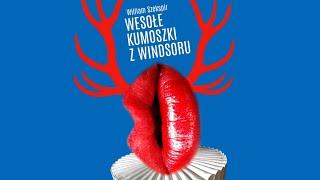 Teatr im. W. Siemaszkowej w Rzeszowie Wesołe kumoszki z Windsoru oklaski i ukłony 3920