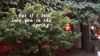 lovespring - Japanese Surplus Lyric Video