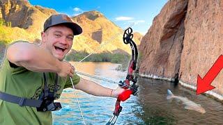 Bow Fishing for Albino Crap in the Colorado River