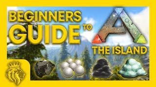 BEGINNERS GUIDE To The Island  NOOB To PRO In 8 Mins  ARK Survival Evolved