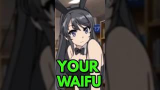 What Does Your Taste in Waifu Say About You ?