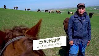 СУБСИДИЯ алудың жеңіл жолы