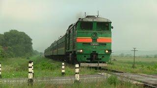 Tепловоз 3ТЭ10М-0019А с пассажирским поездом  3TE10M-0019A locomotive
