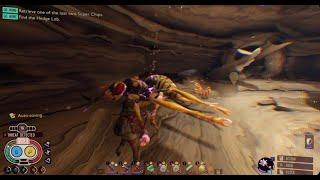 grounded infused wasp queen defeated  in 3minutes ng+2