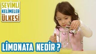 Limonata Nedir Sevimli Kelimeler Ülkesi