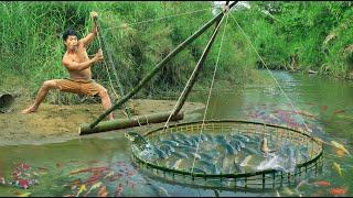 survival in the rainforest using Bamboo to lure fish Catch fish using big traps