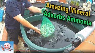 Amazing Mineral That Absorbs Ammonia.