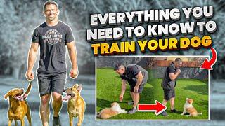 Everything You NEED To KNOW To TRAIN Your DOG