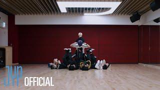 Stray Kids MANIAC Dance Practice Video