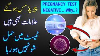 Why Pregnancy Test is Negative Negative Pregnancy Test But No Period Pregnancy Symptoms hcg test