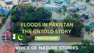 Pakistan Floods & Stories of Independent Journalists - Voice of Nature