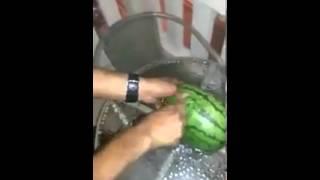 جح اصفر بطيخ جديد - New Watermelon