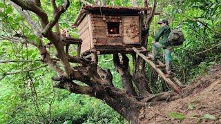 Build houses and cook meals on trees to avoid wild animals