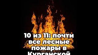 10 из 11 почти все лесные пожары в Курганской области локализованы