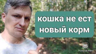 Как убедить кошку есть хороший корм или натуралку ...